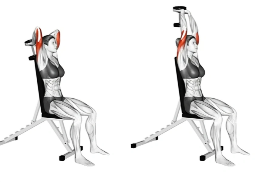 Seated Dumbbell Overhead Extensions