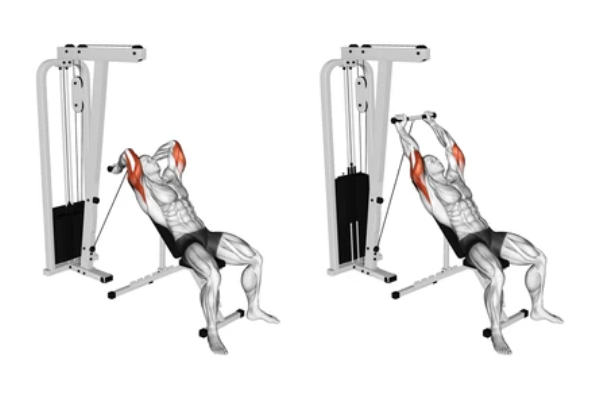 Tricep Bench Press: Enhance Your Arm Power