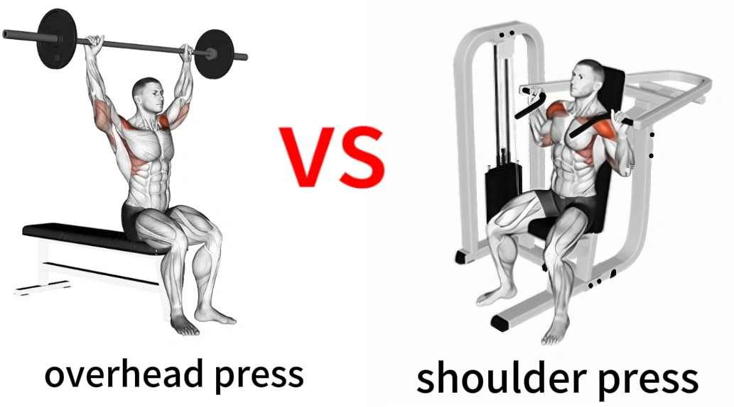 Shoulder Press vs Overhead Press Which One Builds Better Shoulders