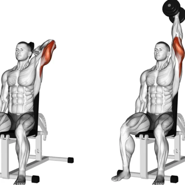 7 Best Tricep Exercises for Men