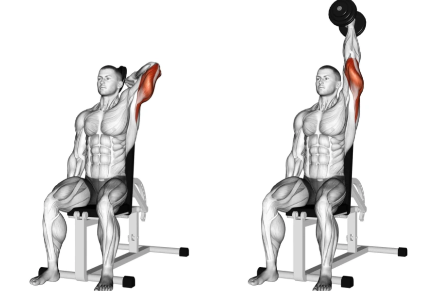 Single-Arm Dumbbell Overhead Extension
