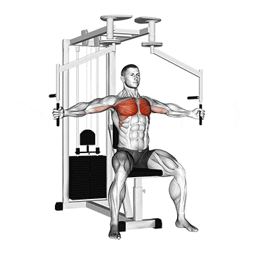 That One Rep Changed How I Saw The Pec Deck Fly