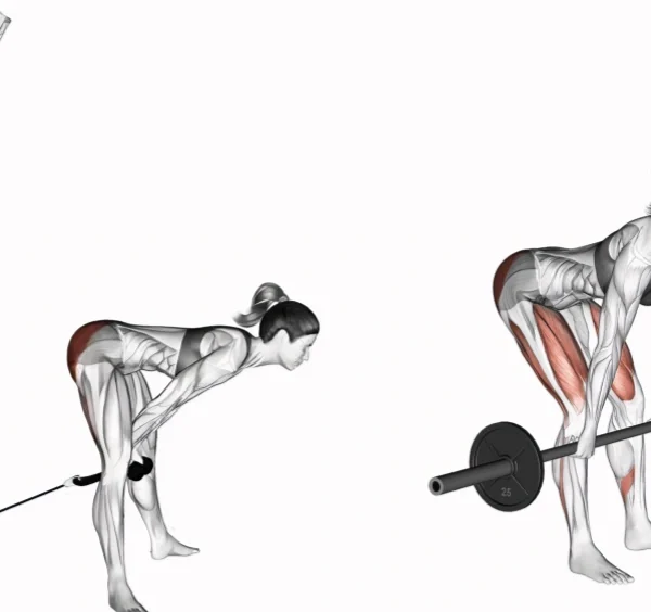 Top Deadlift Substitute for Back-Friendly Training