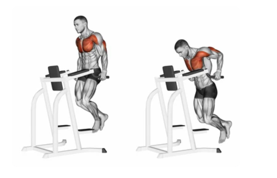 Triceps Dip